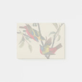 Audubon Painted Bunting Bird Wildlife Post-it Klebezettel (Vorderseite)