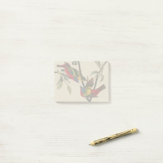 Audubon Painted Bunting Bird Wildlife Post-it Klebezettel (Auf Schreibtisch)