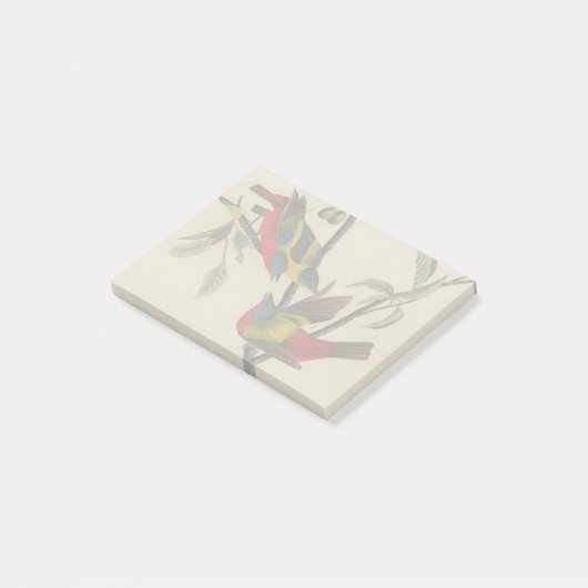 Audubon Painted Bunting Bird Wildlife Post-it Klebezettel (angewinkelt)