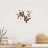Audubon Painted Bunting Bird Wildlife Poster (Küche)