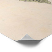 Audubon Painted Bunting Bird Wildlife Poster (Ecke)