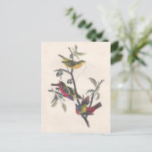 Audubon Painted Bunting Bird Wildlife Postkarte (Stehend Vorderseite)