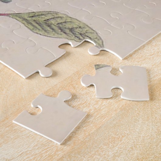 Audubon Painted Bunting Bird Wildlife Puzzle (Seite)