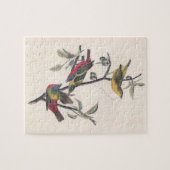 Audubon Painted Bunting Bird Wildlife Puzzle (Horizontal)