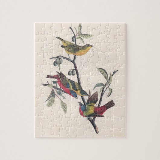 Audubon Painted Bunting Bird Wildlife Puzzle (Vertikal)