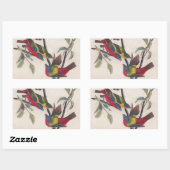 Audubon Painted Bunting Bird Wildlife Rechteckiger Aufkleber (Blatt)