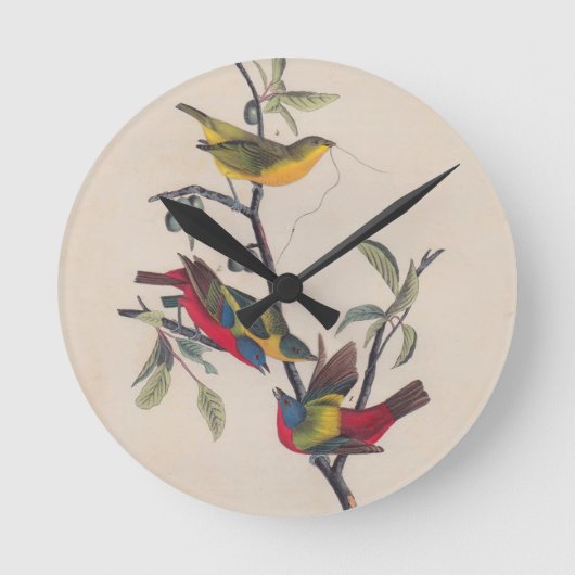 Audubon Painted Bunting Bird Wildlife Runde Wanduhr (Vorderseite)