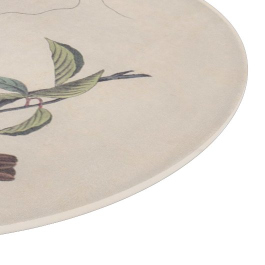 Audubon Painted Bunting Bird Wildlife Schneidebrett (Ecke)