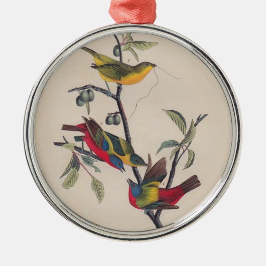 Audubon Painted Bunting Bird Wildlife Silbernes Ornament (Vorne)