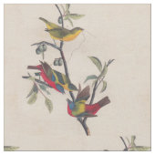 Audubon Painted Bunting Bird Wildlife Stoff (Nahaufnahme)