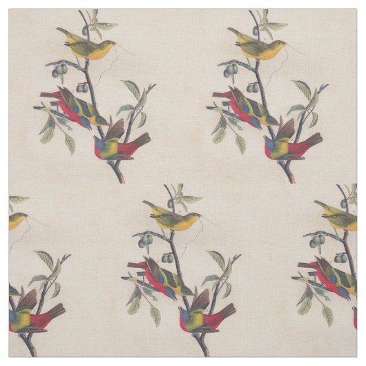 Audubon Painted Bunting Bird Wildlife Stoff (Muster)
