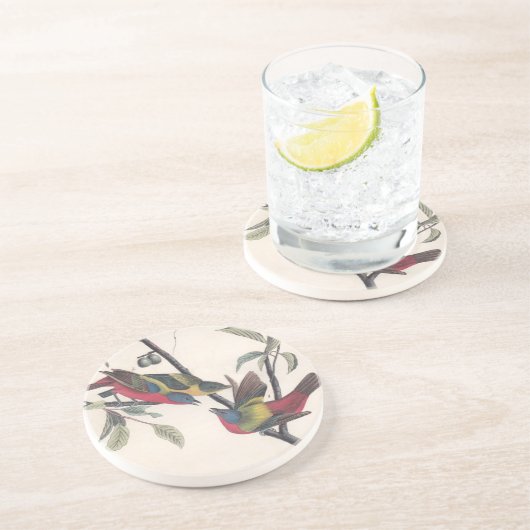 Audubon Painted Bunting Bird Wildlife Untersetzer (Seite)