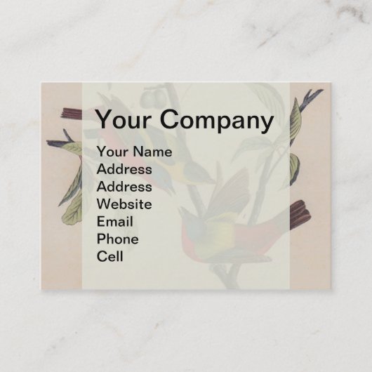 Audubon Painted Bunting Bird Wildlife Visitenkarte (Vorderseite)