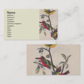 Audubon Painted Bunting Bird Wildlife Visitenkarte (Vorne/Hinten)
