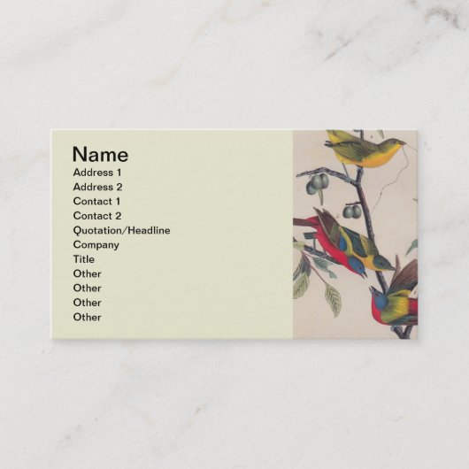 Audubon Painted Bunting Bird Wildlife Visitenkarte (Vorderseite)