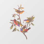 Audubon Painted Bunting Birds is Wild Plum Tree Fensteraufkleber (Blatt)