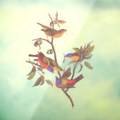 Audubon Painted Bunting Birds is Wild Plum Tree Fensteraufkleber (Blatt 3)