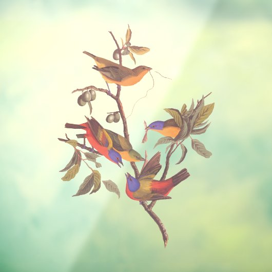 Audubon Painted Bunting Birds is Wild Plum Tree Fensteraufkleber (Blatt 3)