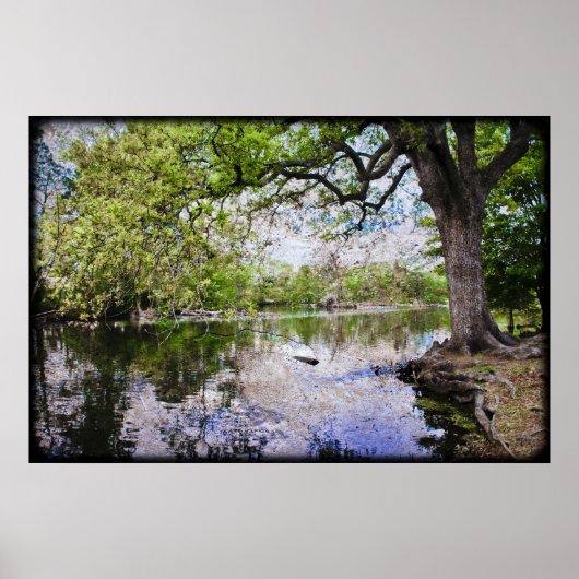 Audubon Park Poster (Vorne)