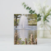 Audubon Park Postkarte (Stehend Vorderseite)