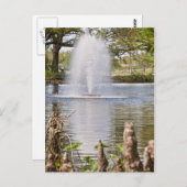 Audubon Park Postkarte (Vorne/Hinten)