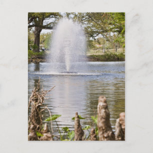 Audubon Park Postkarte