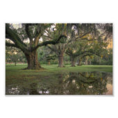 Audubon Park Rain Fotodruck (Vorne)