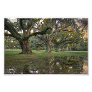 Audubon Park Rain Fotodruck