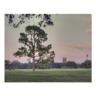 Audubon Park-Sonnenuntergang Fotodruck