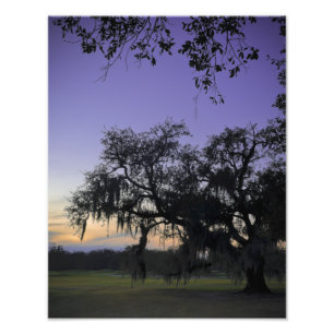 Audubon Park Sunset Fotodruck