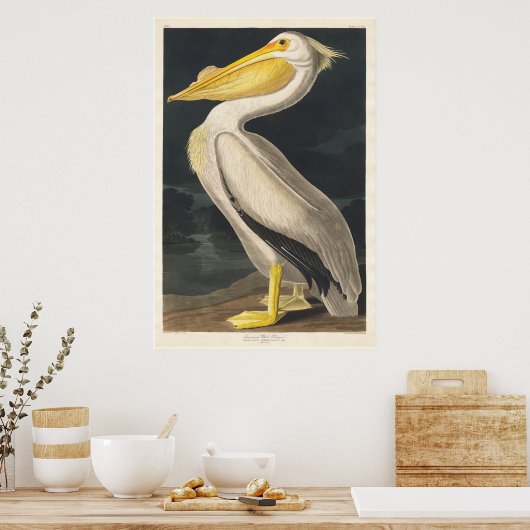 Audubon Pelican Poster (Küche)