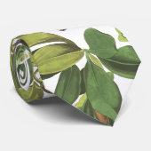 Audubon Pelikan-Vogel-Tier-Tier verlässt Krawatte (Gerollt)