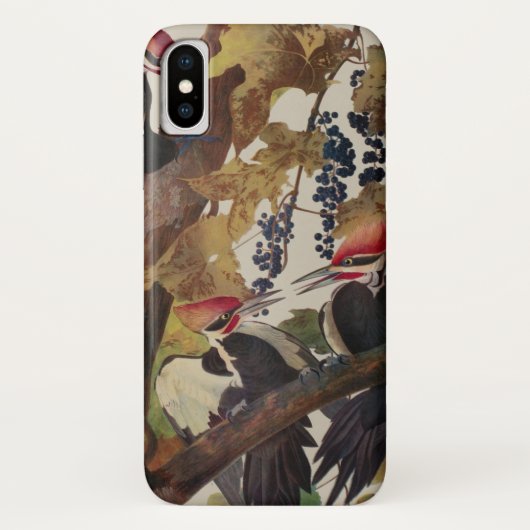 Audubon Pileated Woodpecker Bird Malerei Case-Mate iPhone Hülle (Rückseite)