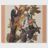 Audubon Pileated Woodpecker Bird Malerei Geschenkpapier (Flach)