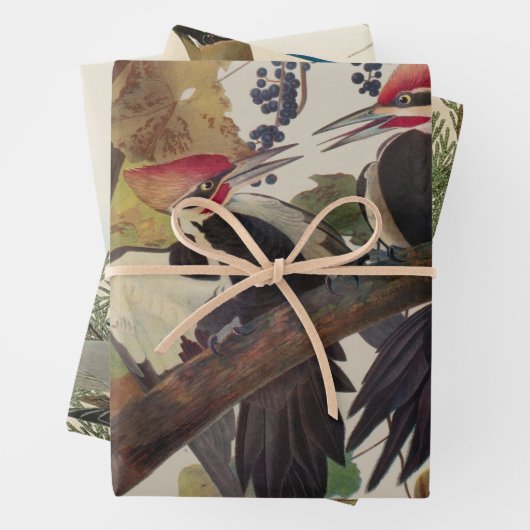 Audubon Pileated Woodpecker Bird Malerei Geschenkpapier Set (Beispiel)