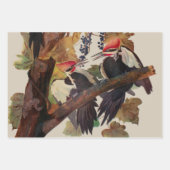 Audubon Pileated Woodpecker Bird Malerei Geschenkpapier Set (Vorderseite)