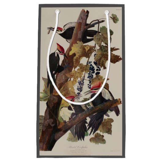 Audubon Pileated Woodpecker Bird Malerei Kleine Geschenktüte (Vorderseite)