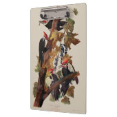 Audubon Pileated Woodpecker Bird Malerei Klemmbrett (Links)