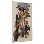 Audubon Pileated Woodpecker Bird Malerei Klemmbrett (Rechts)