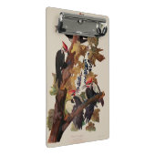 Audubon Pileated Woodpecker Bird Malerei Mini Klemmbrett (Schrägansicht)