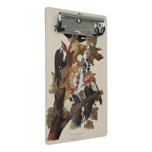 Audubon Pileated Woodpecker Bird Malerei Mini Klemmbrett (Schrägansicht)