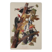 Audubon Pileated Woodpecker Bird Malerei Mini Klemmbrett (Rückseite)