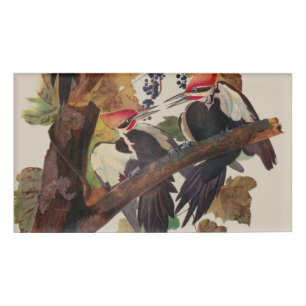 Audubon Pileated Woodpecker Bird Malerei Namenschild