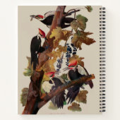 Audubon Pileated Woodpecker Bird Malerei Notizblock (Rückseite)