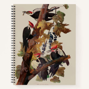 Audubon Pileated Woodpecker Bird Malerei Notizblock