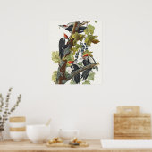 Audubon Pileated Woodpecker Bird Malerei Poster (Küche)