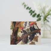 Audubon Pileated Woodpecker Bird Malerei Postkarte (Stehend Vorderseite)