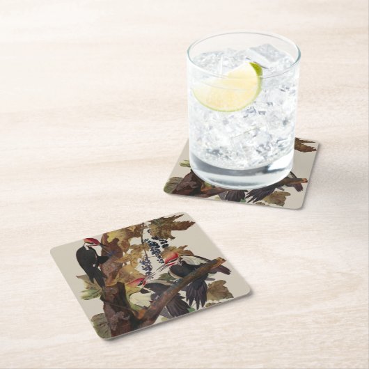 Audubon Pileated Woodpecker Bird Malerei Rechteckiger Pappuntersetzer (Vor Ort)