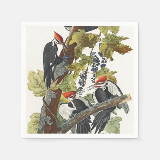 Audubon Pileated Woodpecker Bird Malerei Serviette (Vorderseite)