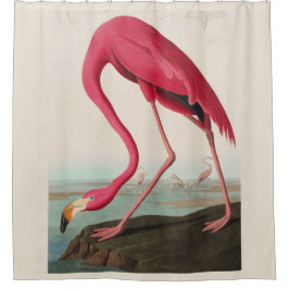 Audubon Pink American Flamingo, Plate CCXXXI Duschvorhang
